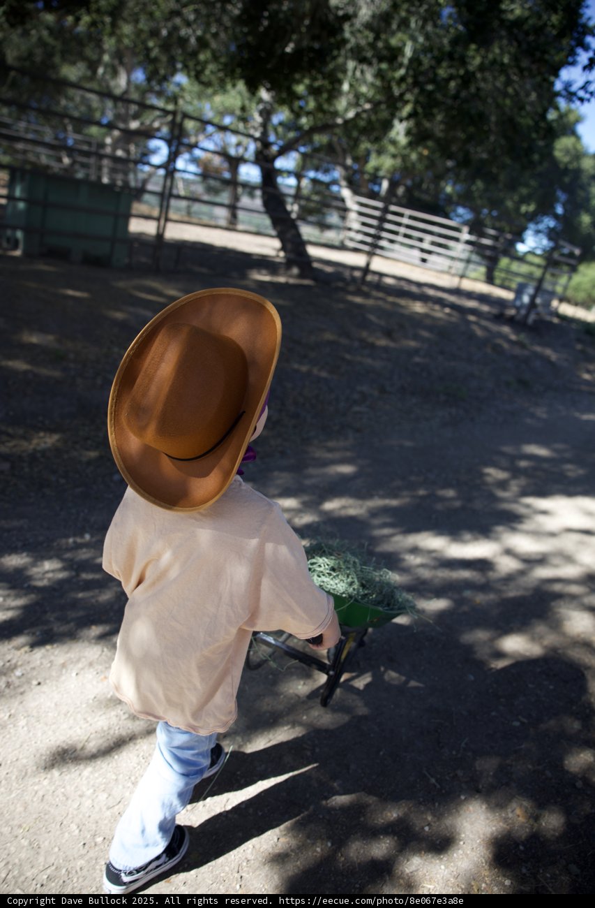Little Rancher on Duty