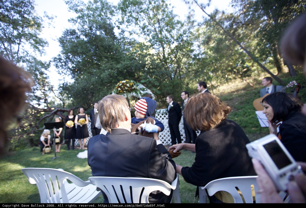 The Truitt Wedding Party