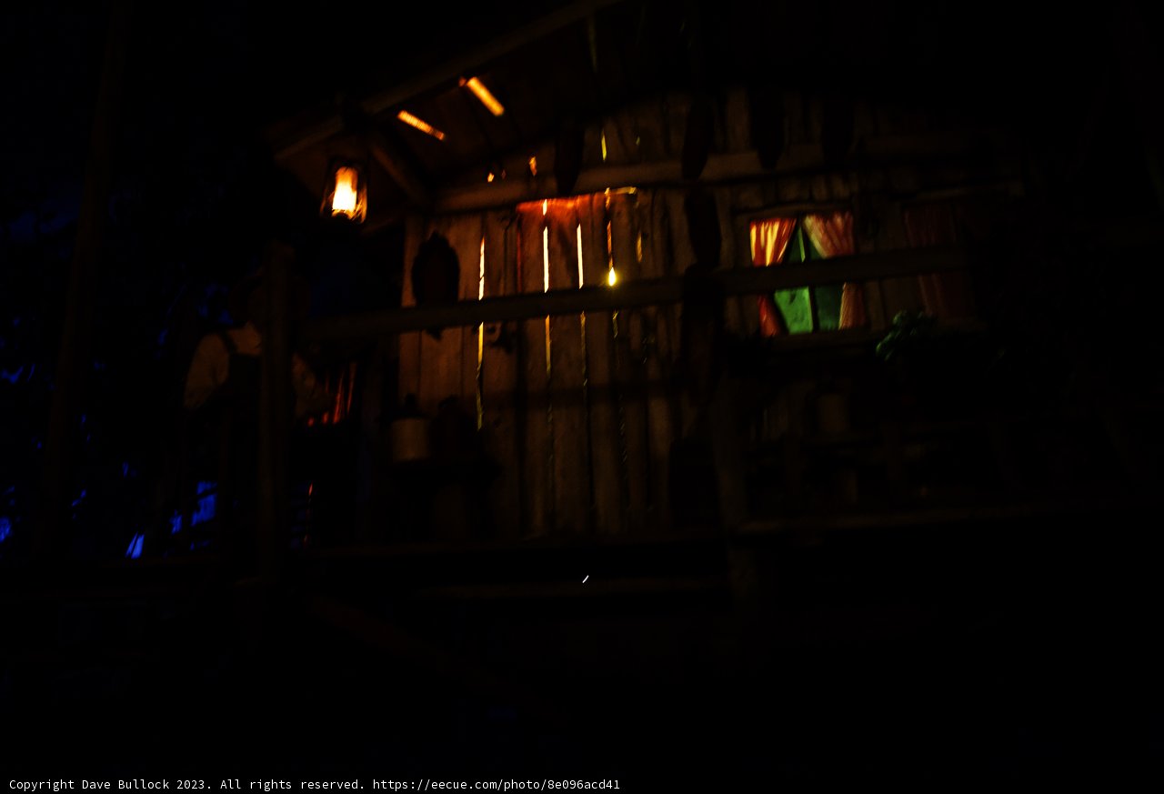 Enchanted Night at the Treetop Hideaway