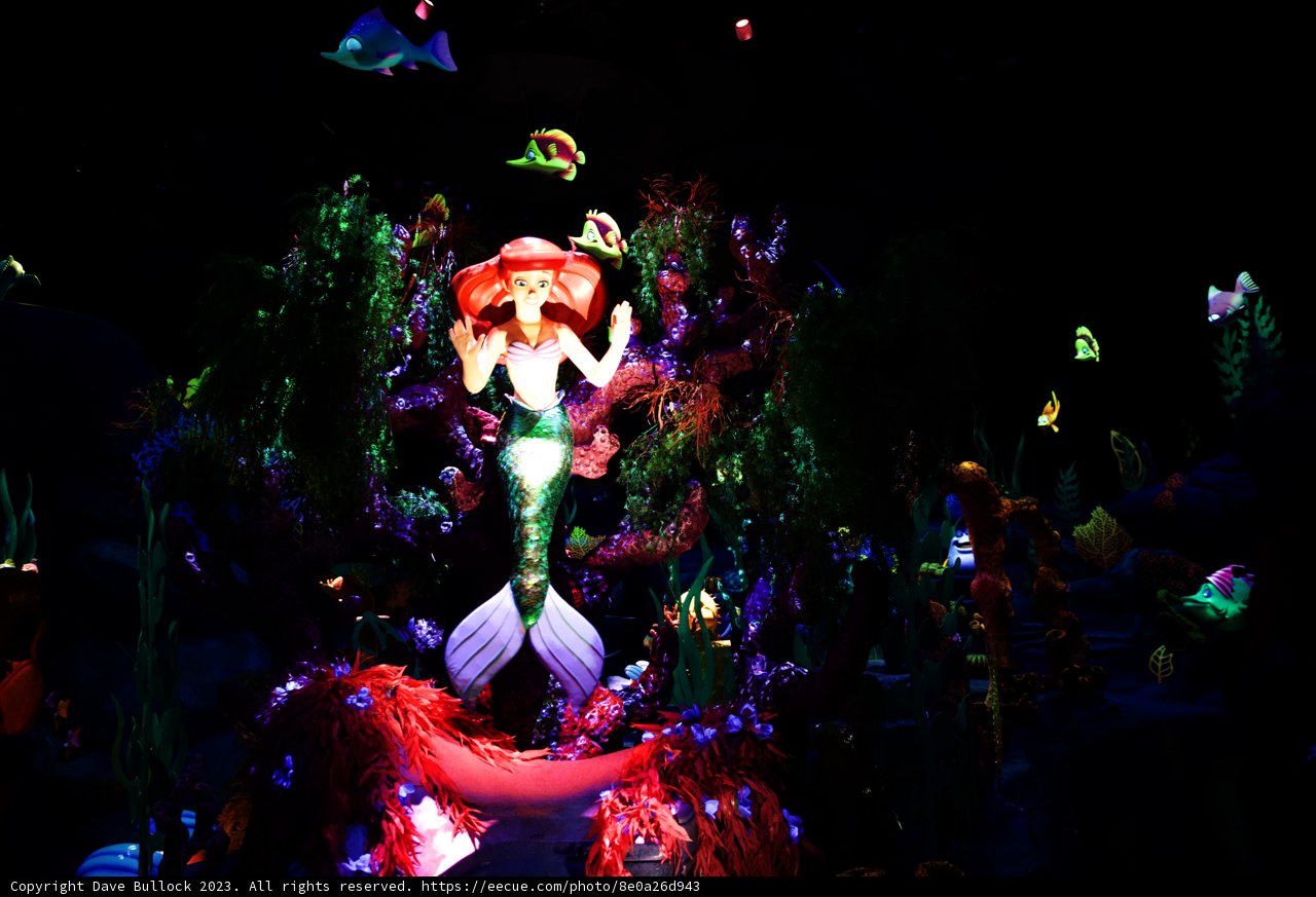Magical Disneyland Wedding Celebration