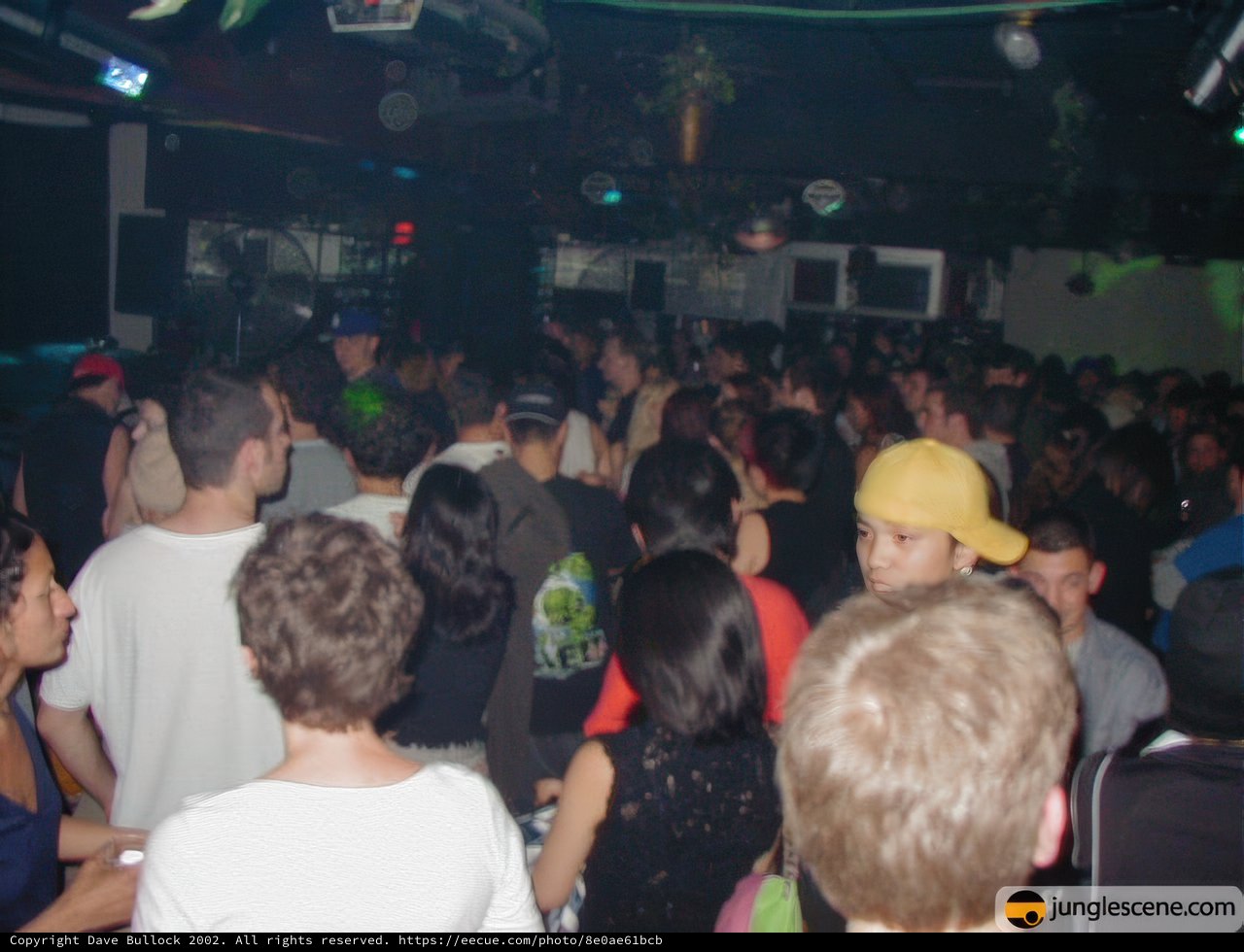 Nightlife Frenzy