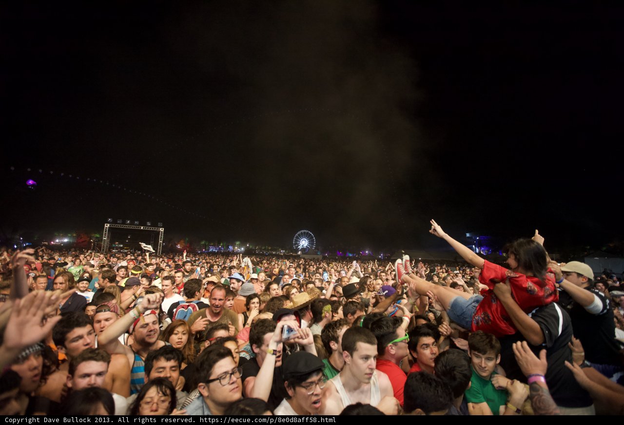 Festival Fever