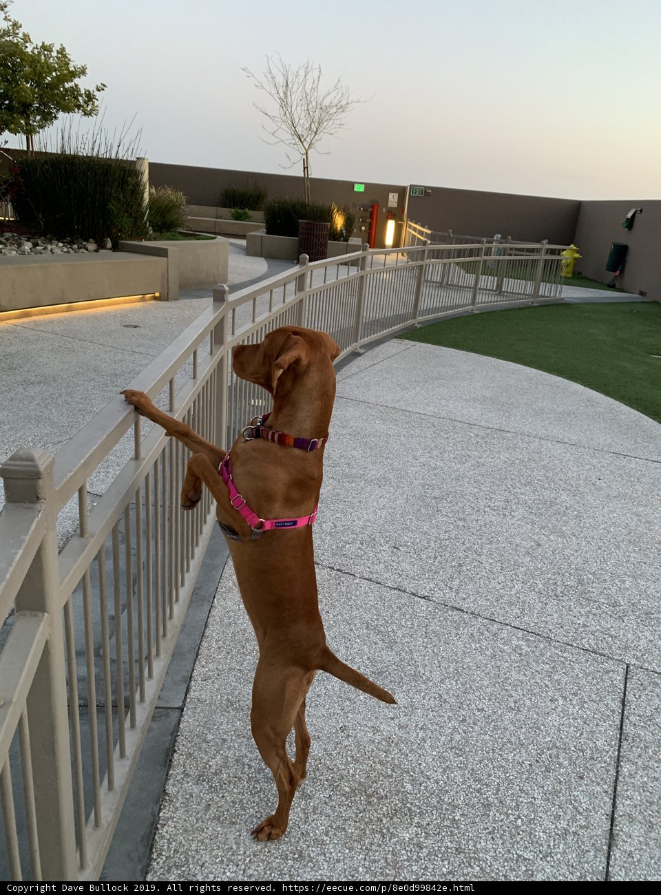 Balancing Act on the Fence