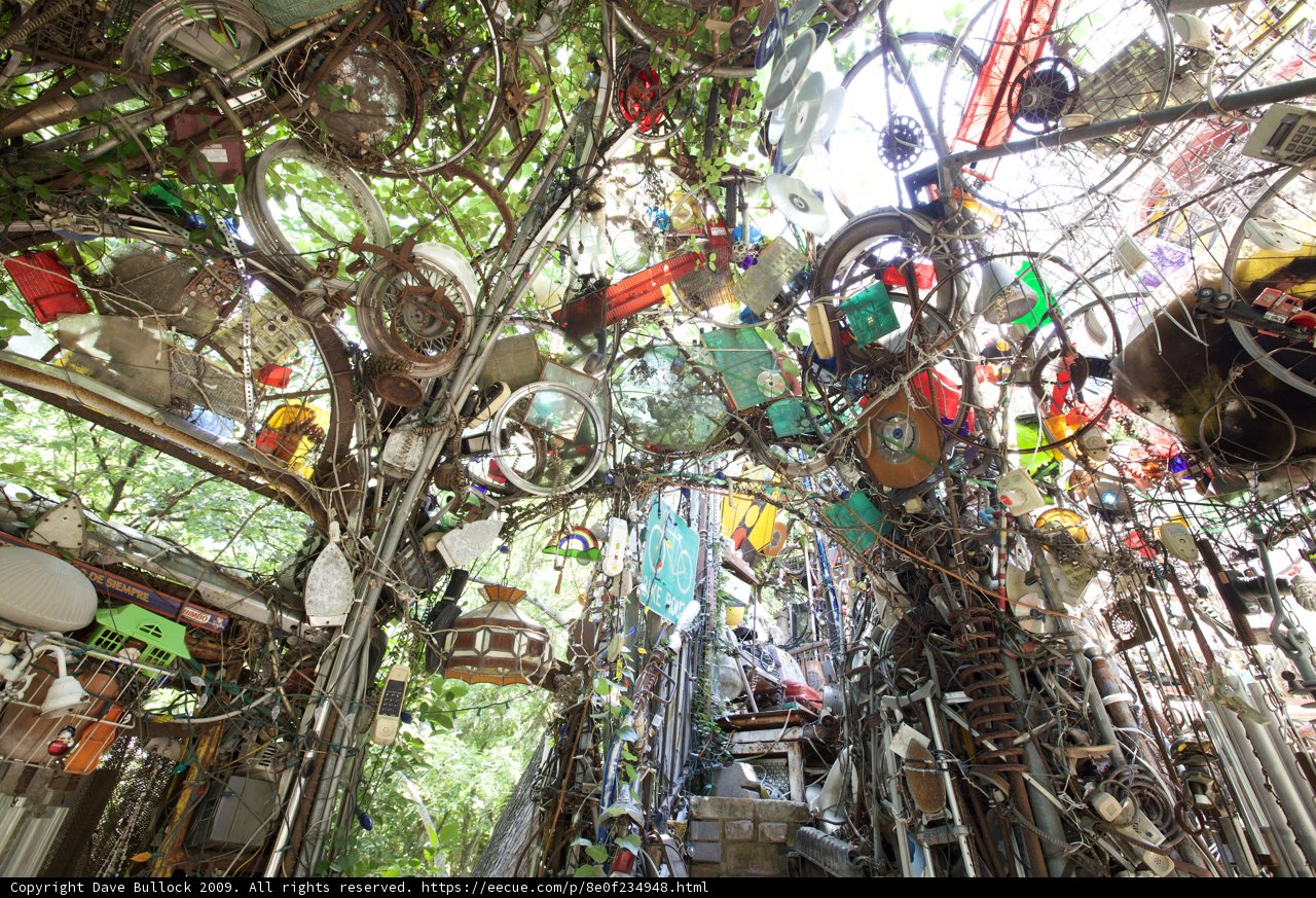 The Wheeling Tree