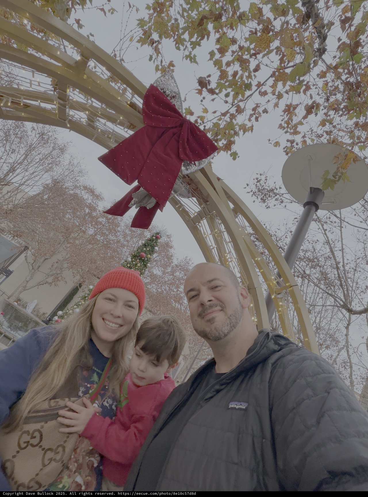 Family Christmas Selfie on Festive Ferris Wheel