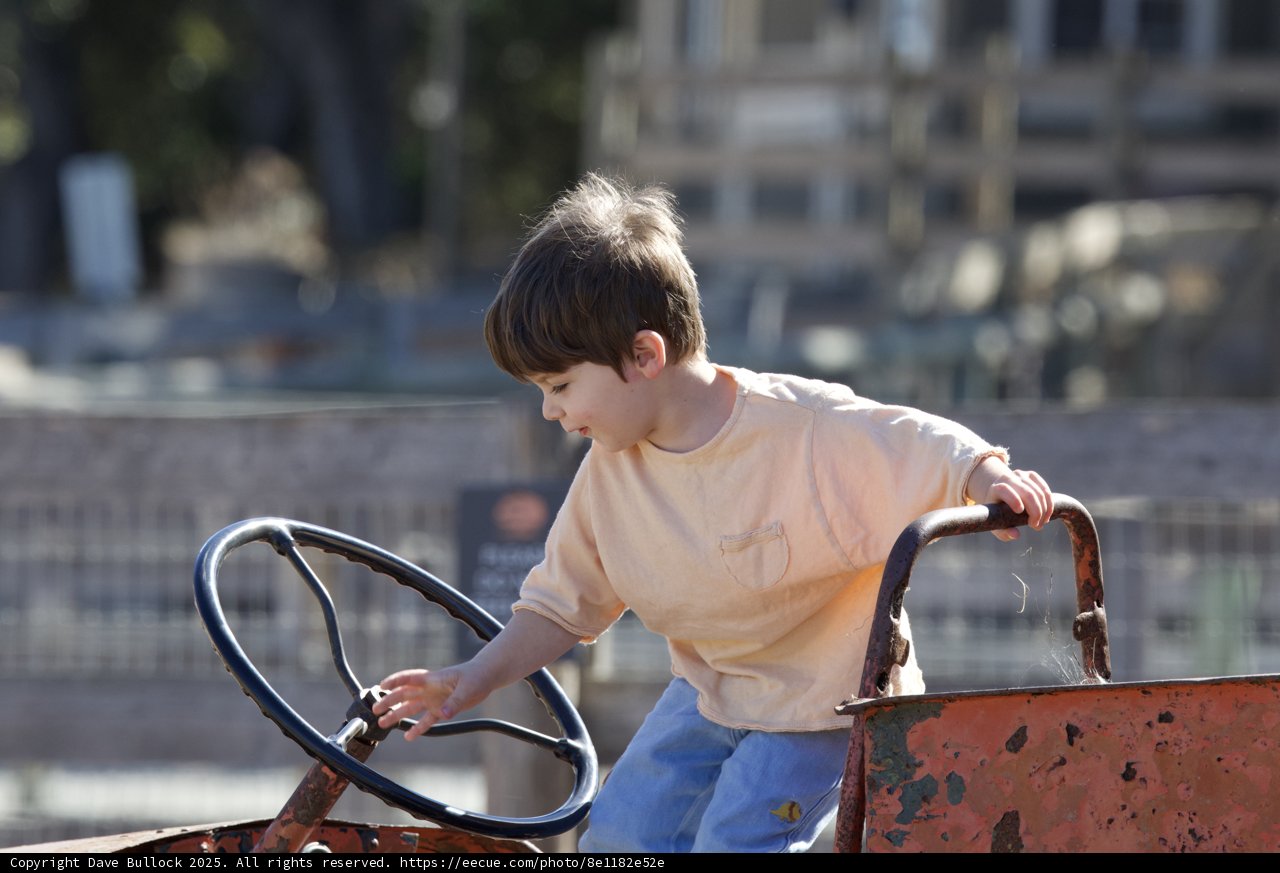 Joyful Adventures in Carmel Valley
