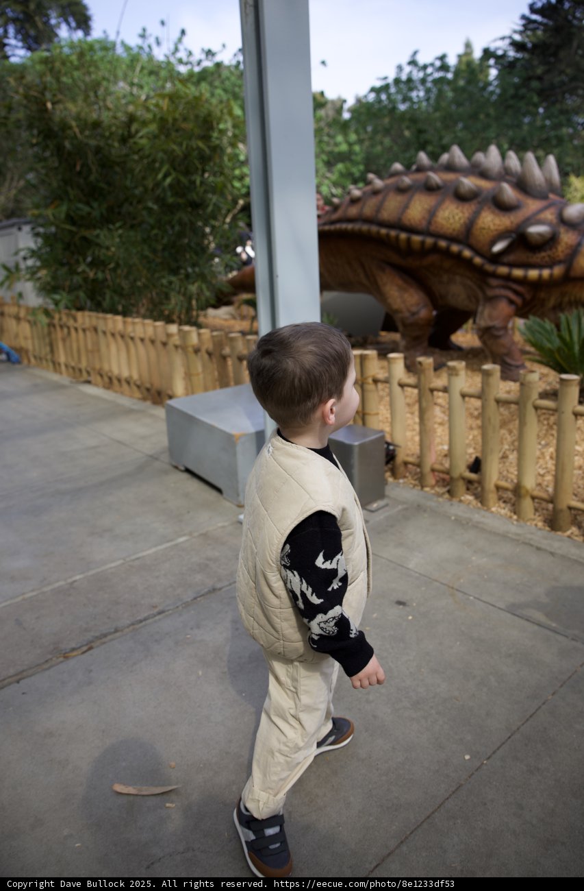 Young Explorer Meets a Prehistoric Friend