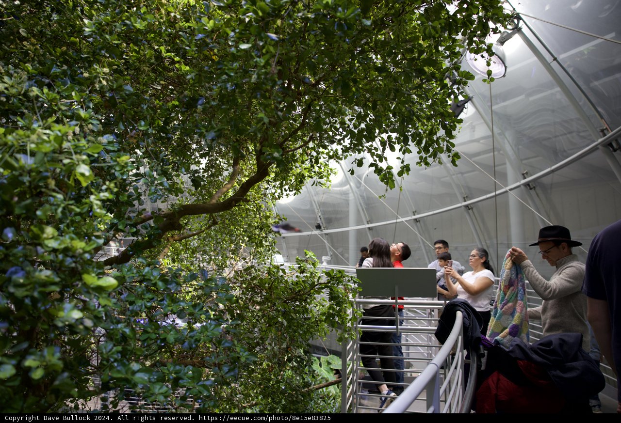 Engaging Nature Revolution at the California Academy of Sciences