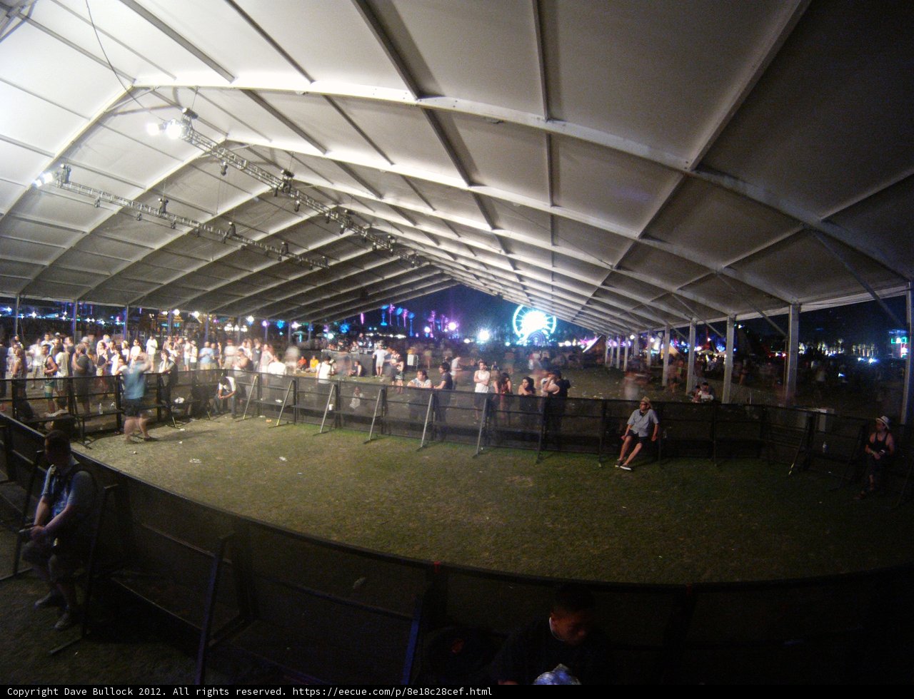 Gathering under the Canopy