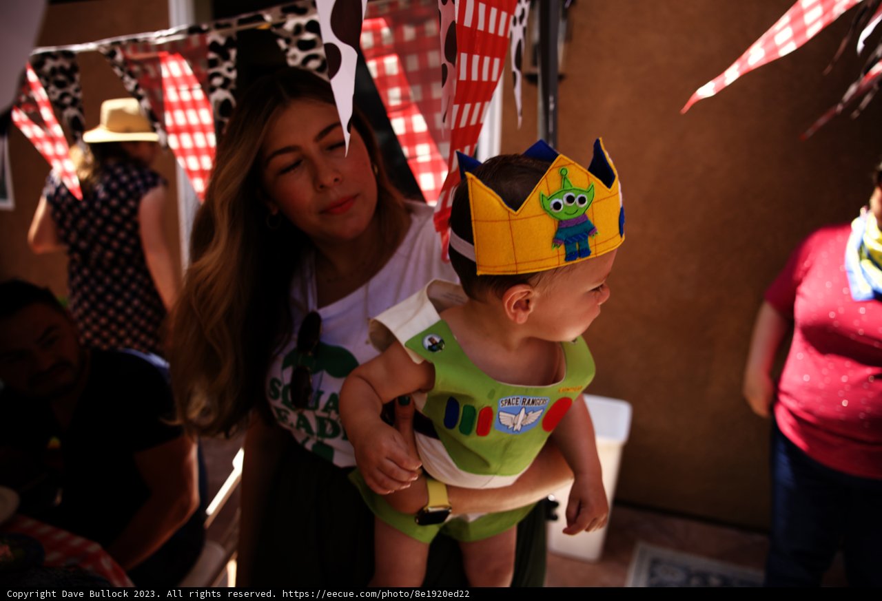 Wesley's First Birthday Celebration with Toy Story Theme