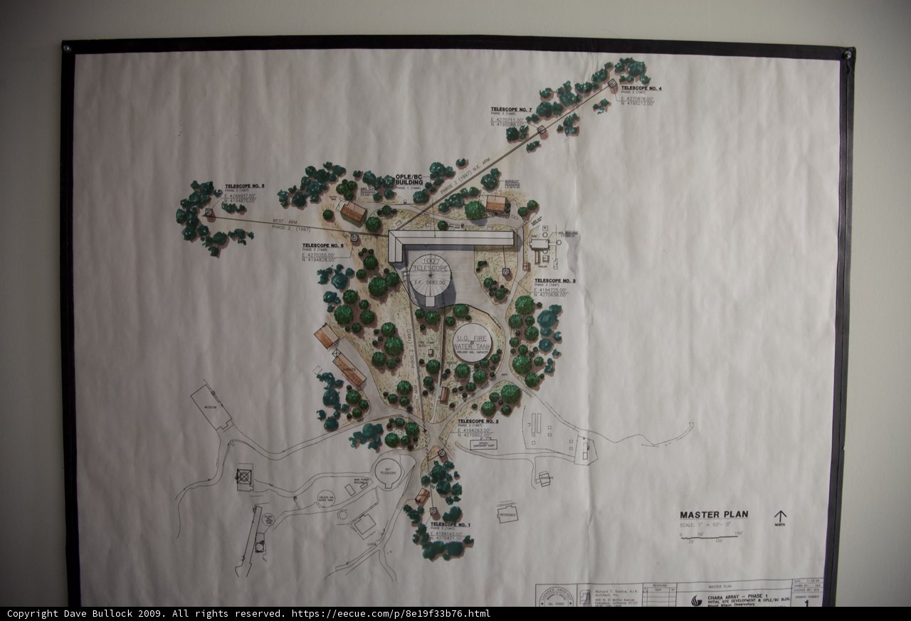 Park Map with Trees