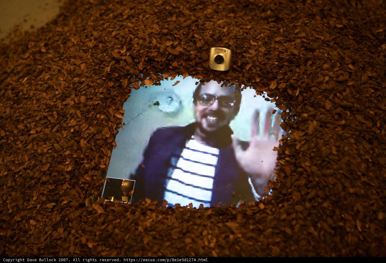 Dive into the Coffee Beans