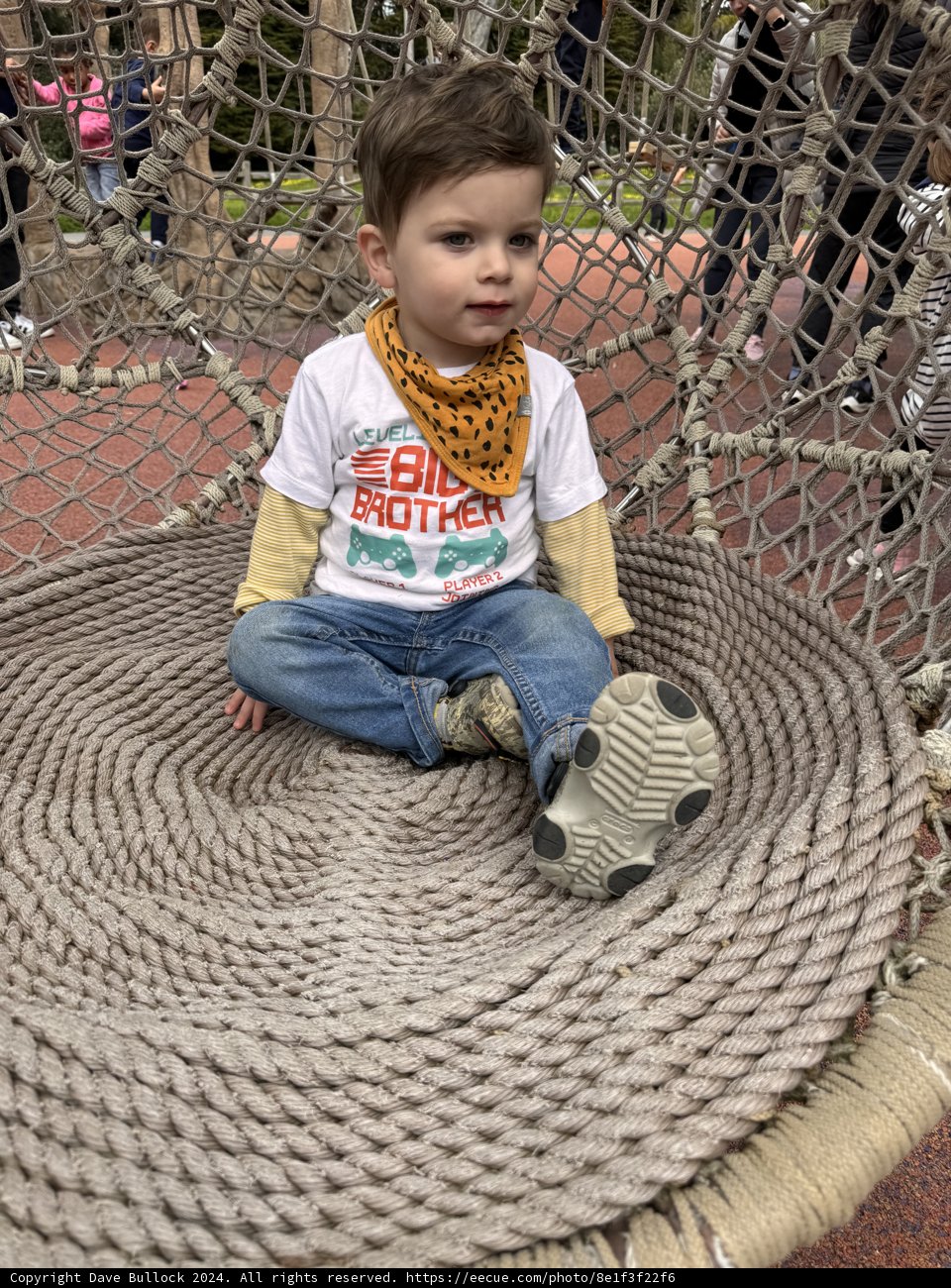 Serene Swing Time at San Francisco Zoo & Gardens