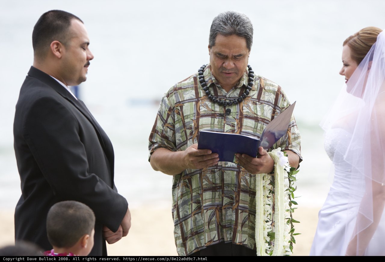Beach Wedding Bookworms