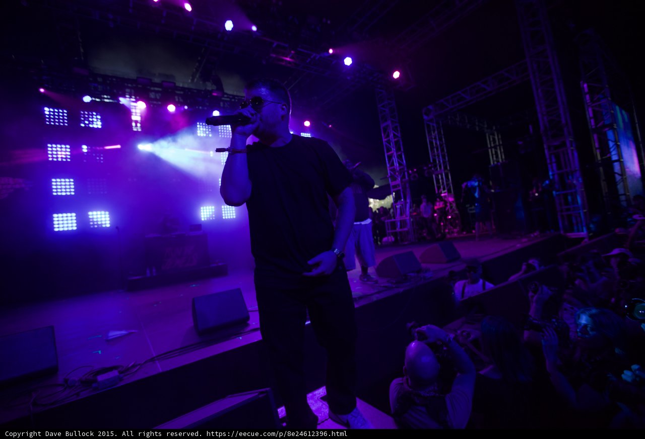 El-P Solo Purple