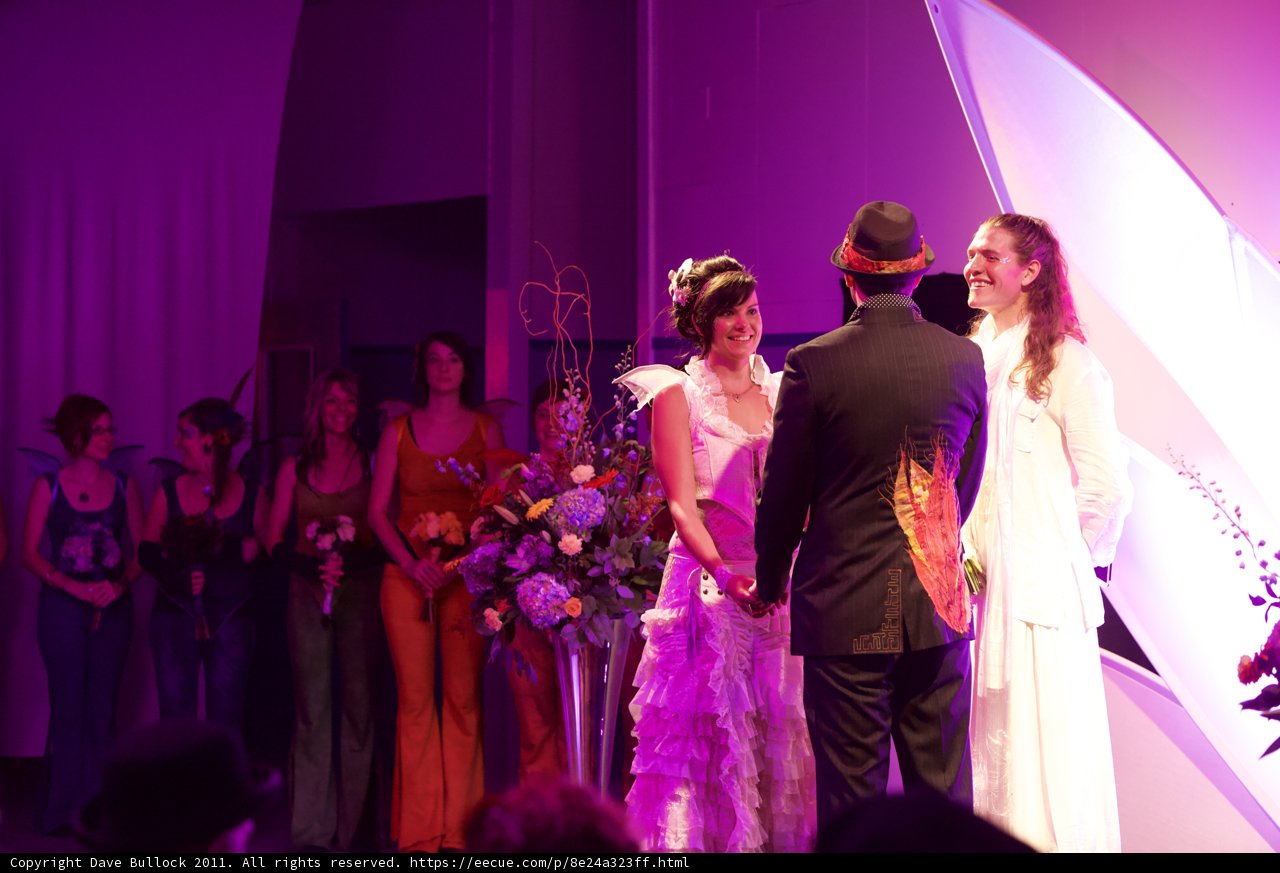 The Beautiful Bride and Her Stunning Dress