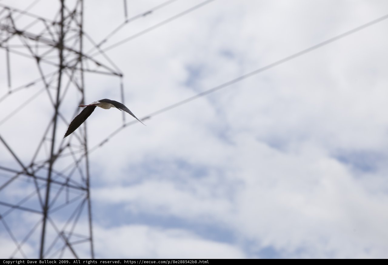 Flight Above Power Lines