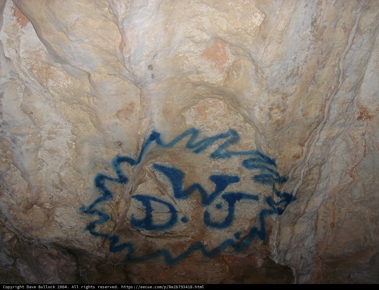dt: A Graffiti Art on Nature's Canvas