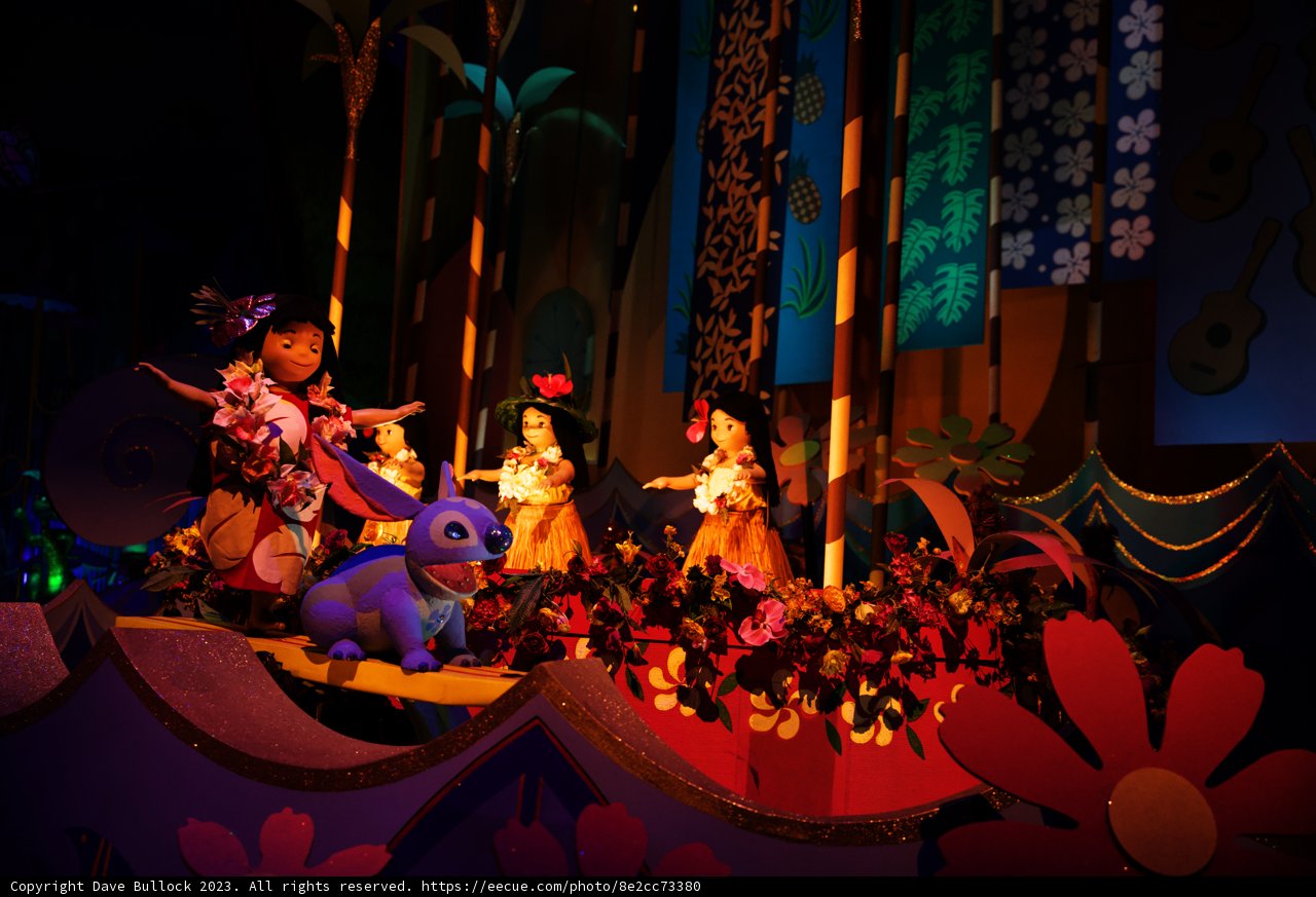 Magical Moments at Disneyland