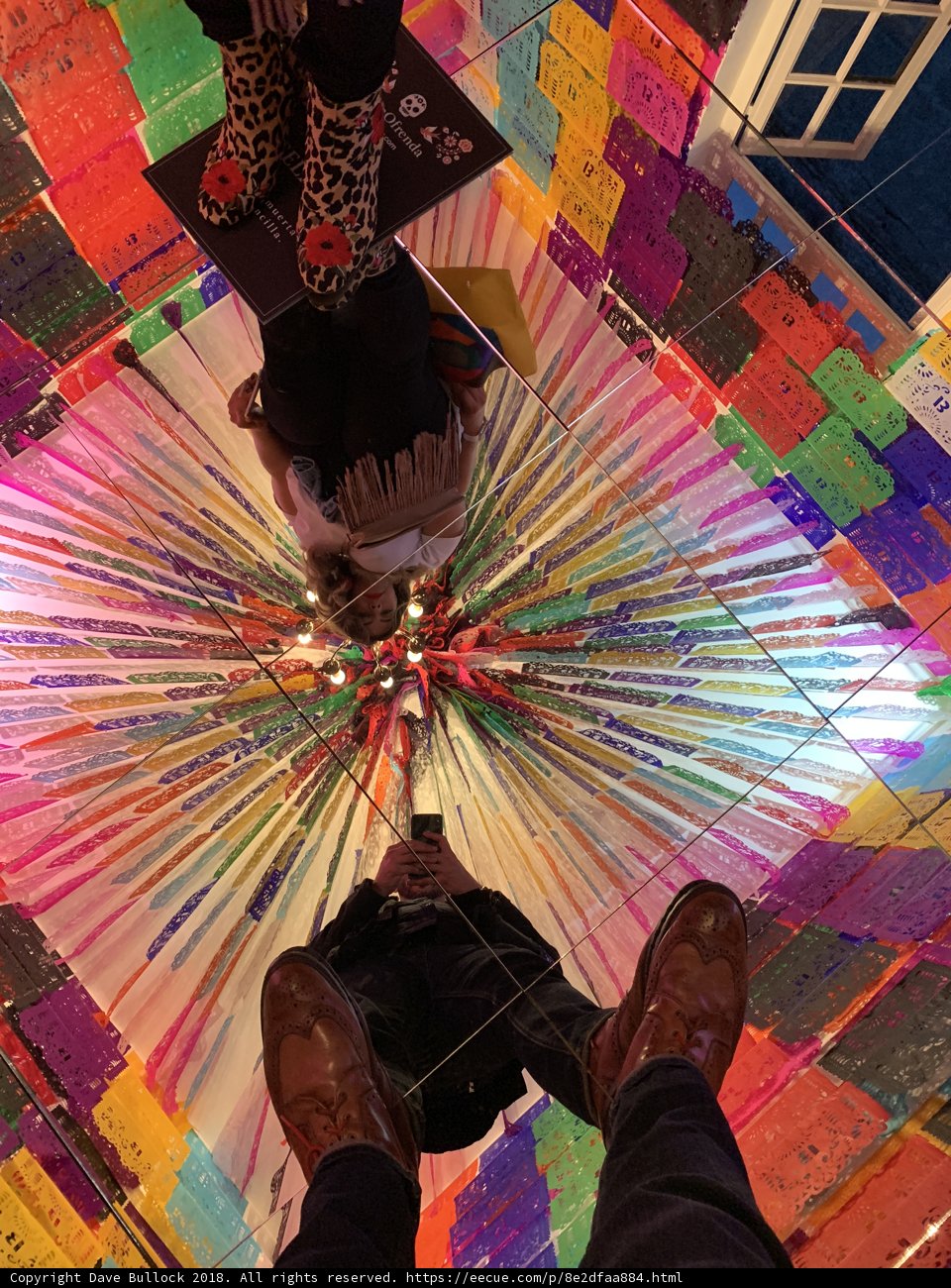 Upside Down on a Rainbow Ceiling