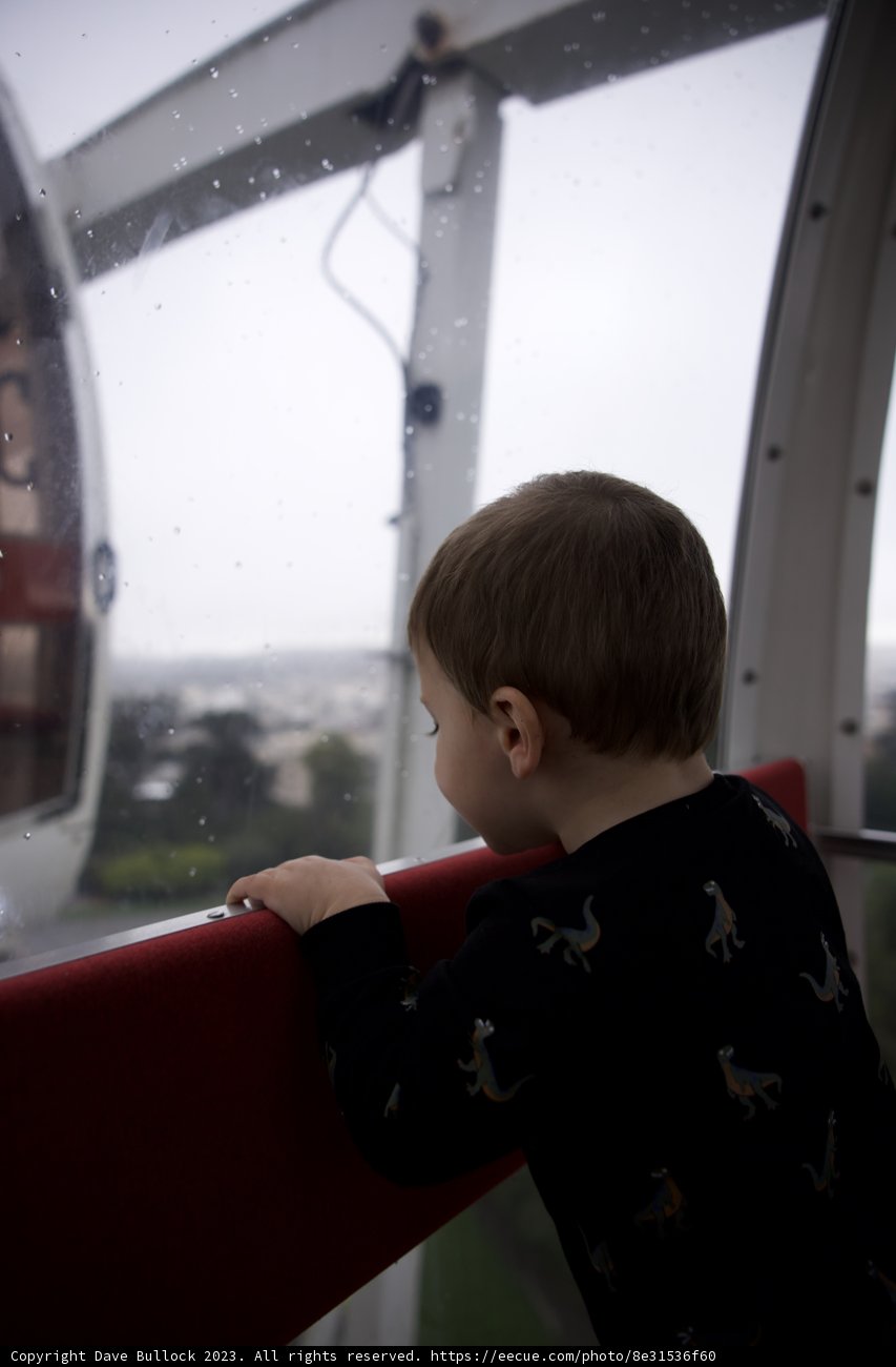 Curiosity in the Golden Gate Park - October 2023