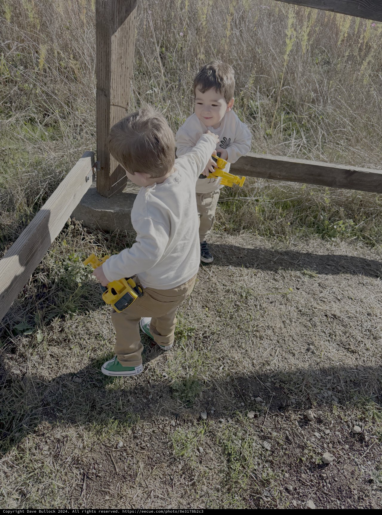 Children Playing with Toy Trucks Outdoors