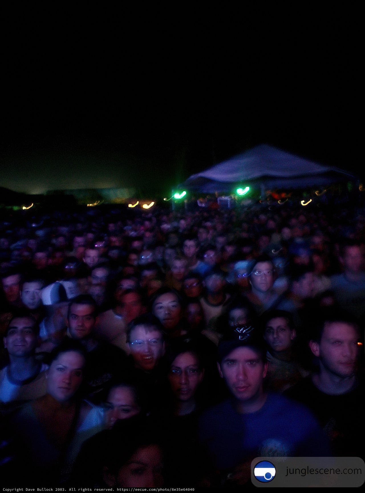 Night-time Crowd at Coachella Concert