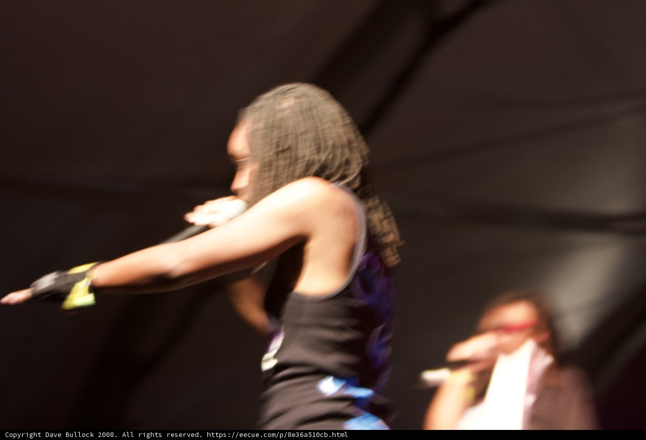Energized Performer on Coachella Stage
