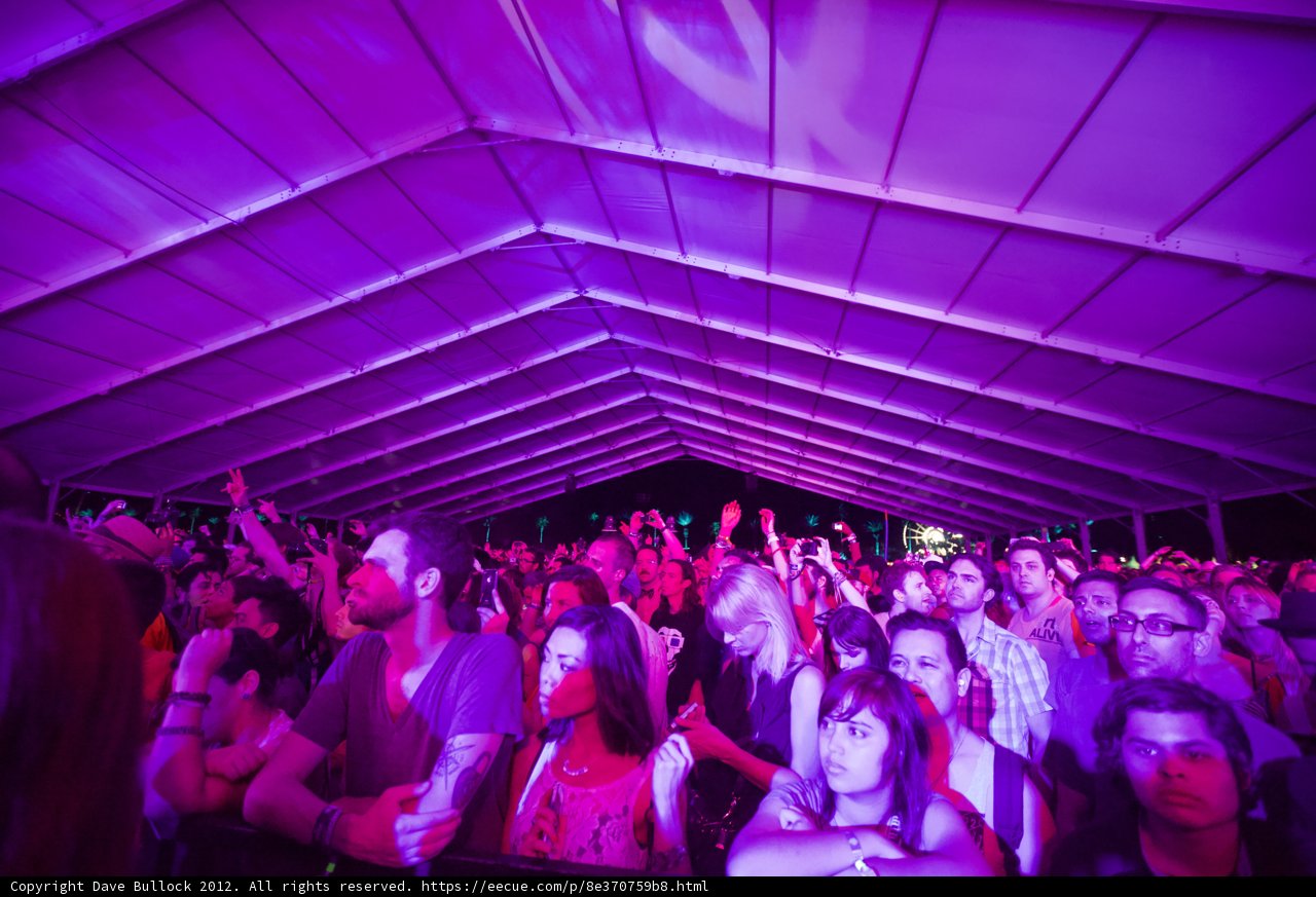 Purple Haze
