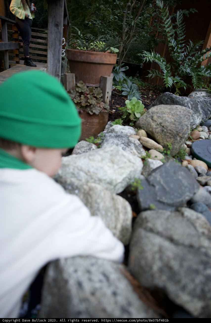 Exploration in Big Sur: The Rock Wall Revelation