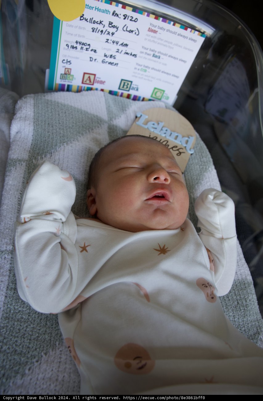 Welcome to the World, Leland