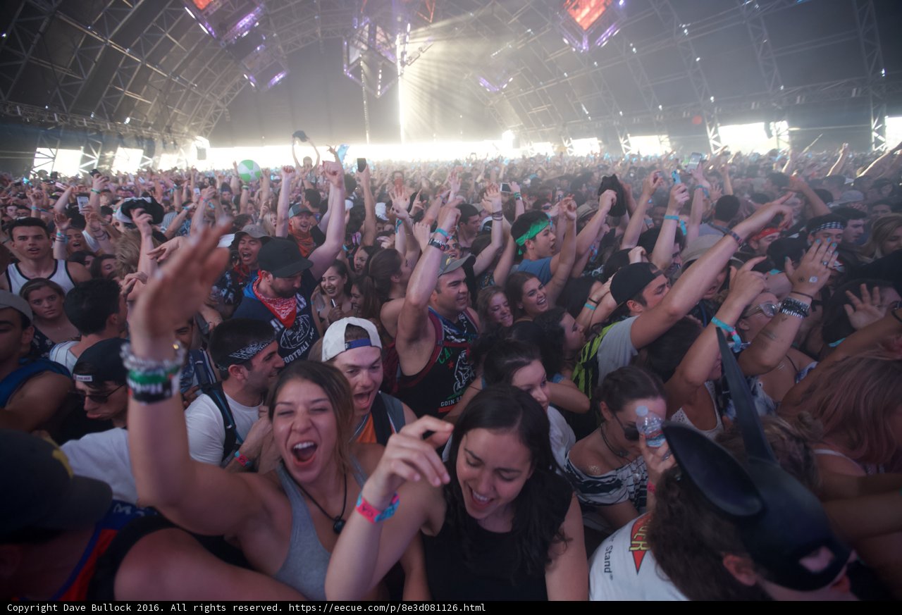 The Ultimate Festival Crowd