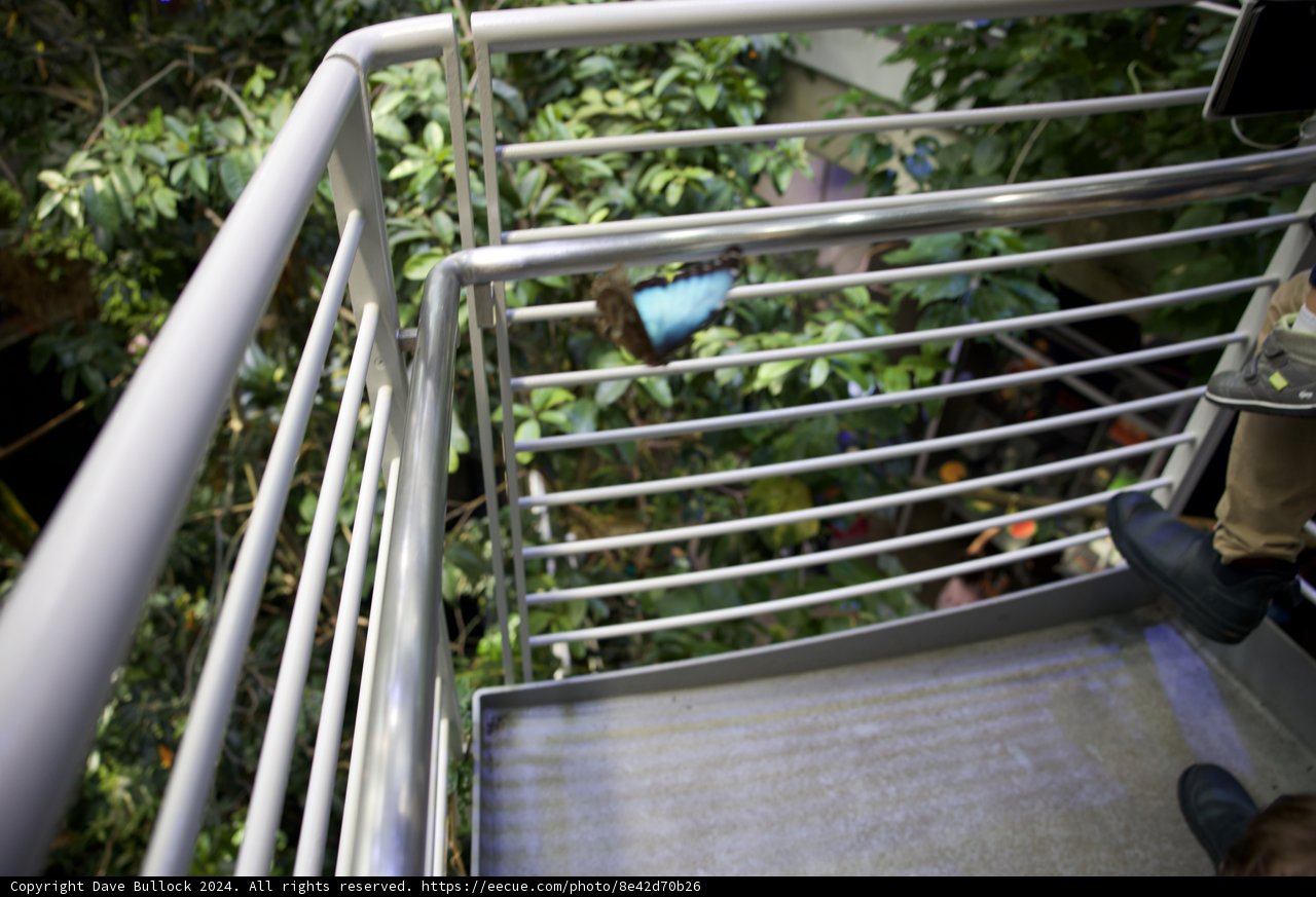 Enlightened Moments on Railing
