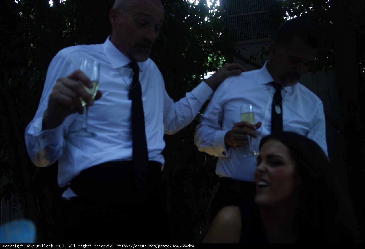 The Wine Connoisseur