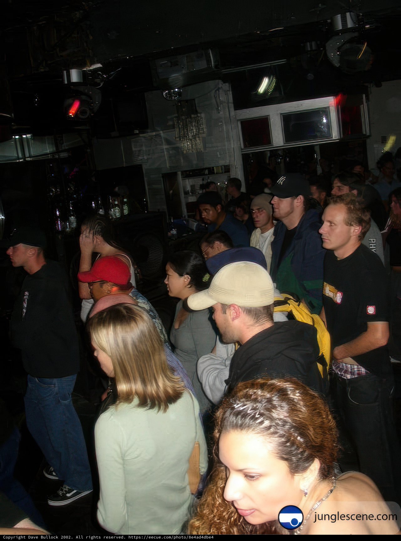 Nightclub Crowd