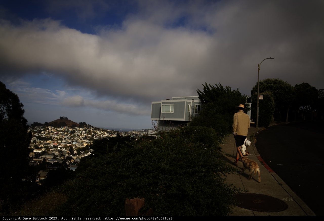 An Urban Stroll with Man's Best Friend