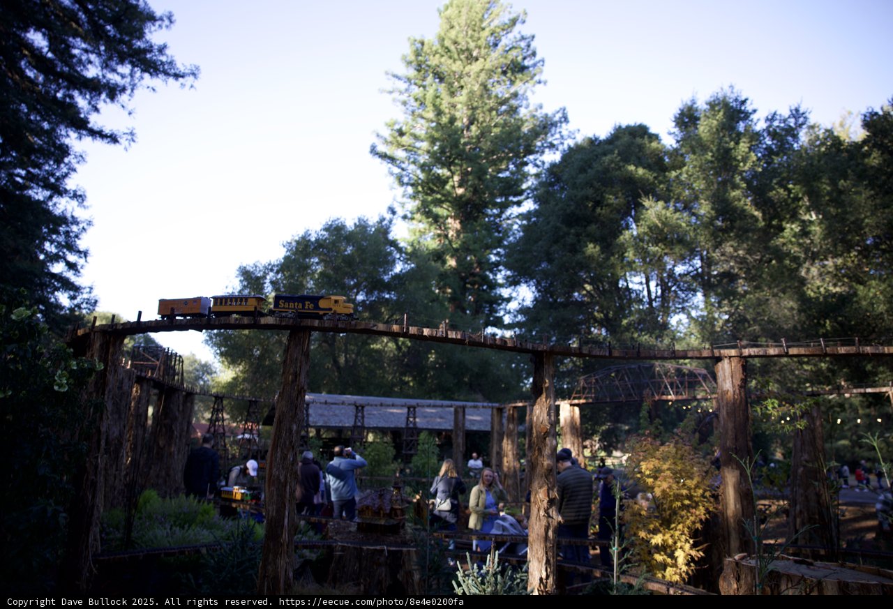 Whimsical Woodland Gathering