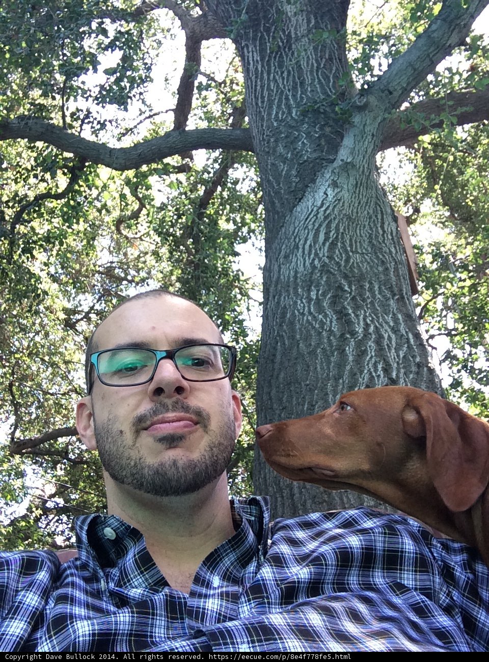 Man and Dog in Front of Oak Tree