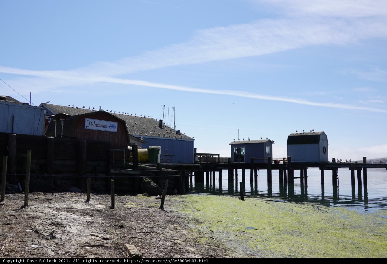 Waterfront Shelters on a Serene Countryside Pier