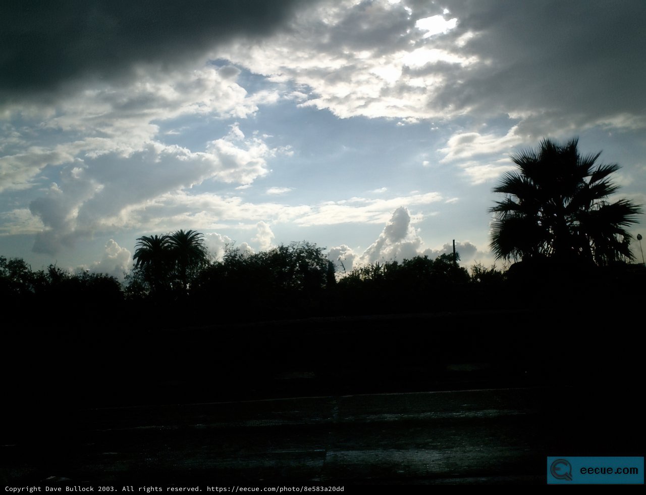 Clouds and Palm Trees: A View Through the Car Window