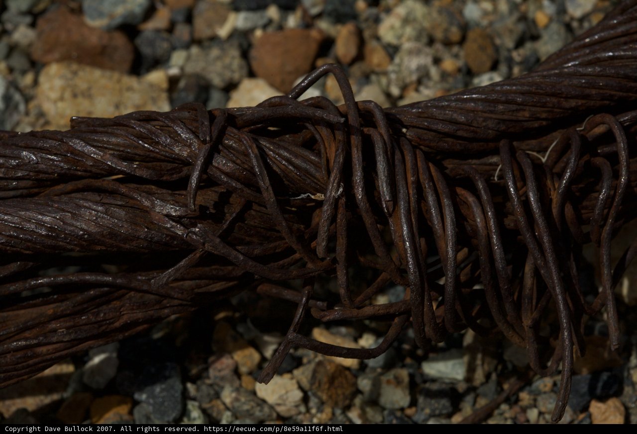 Twisted and Worn