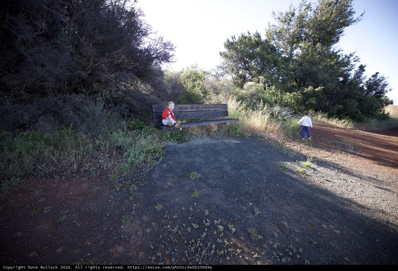 Two Young Children Exploring a Memorial Bench Trail