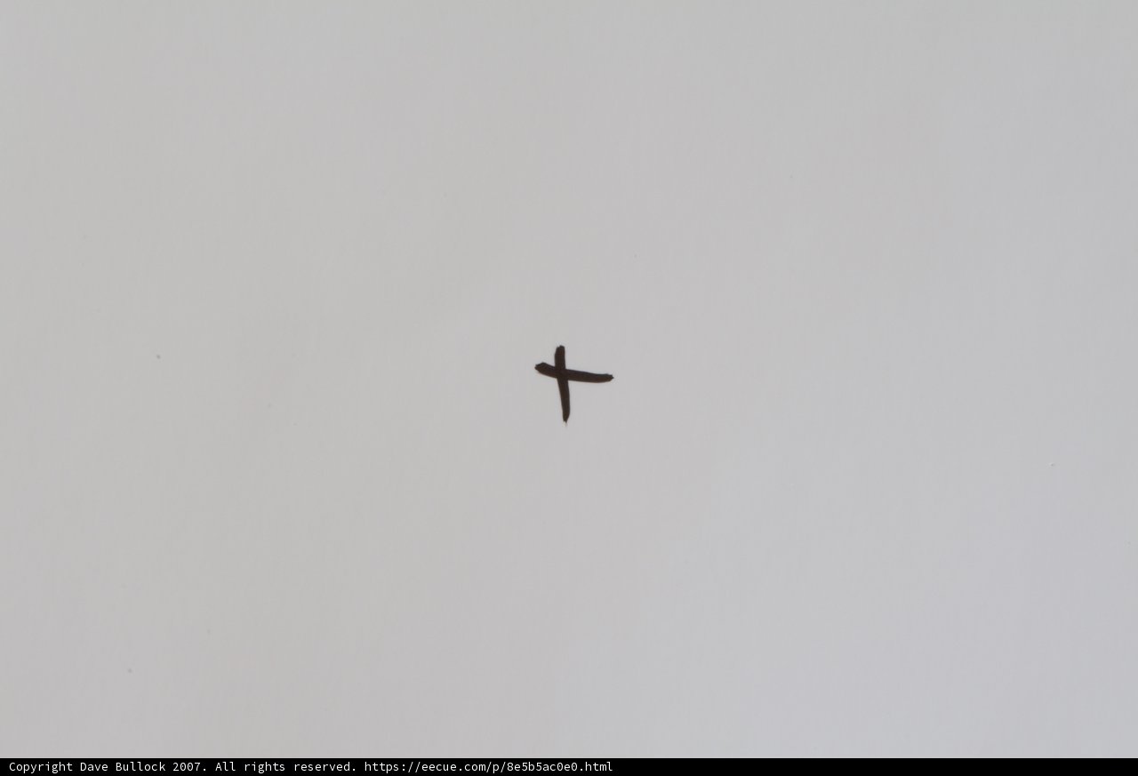 Heavenly Sign