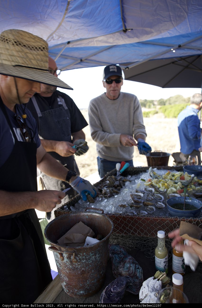Shoreline Shindig at Hog Island Oyster Co, 2023