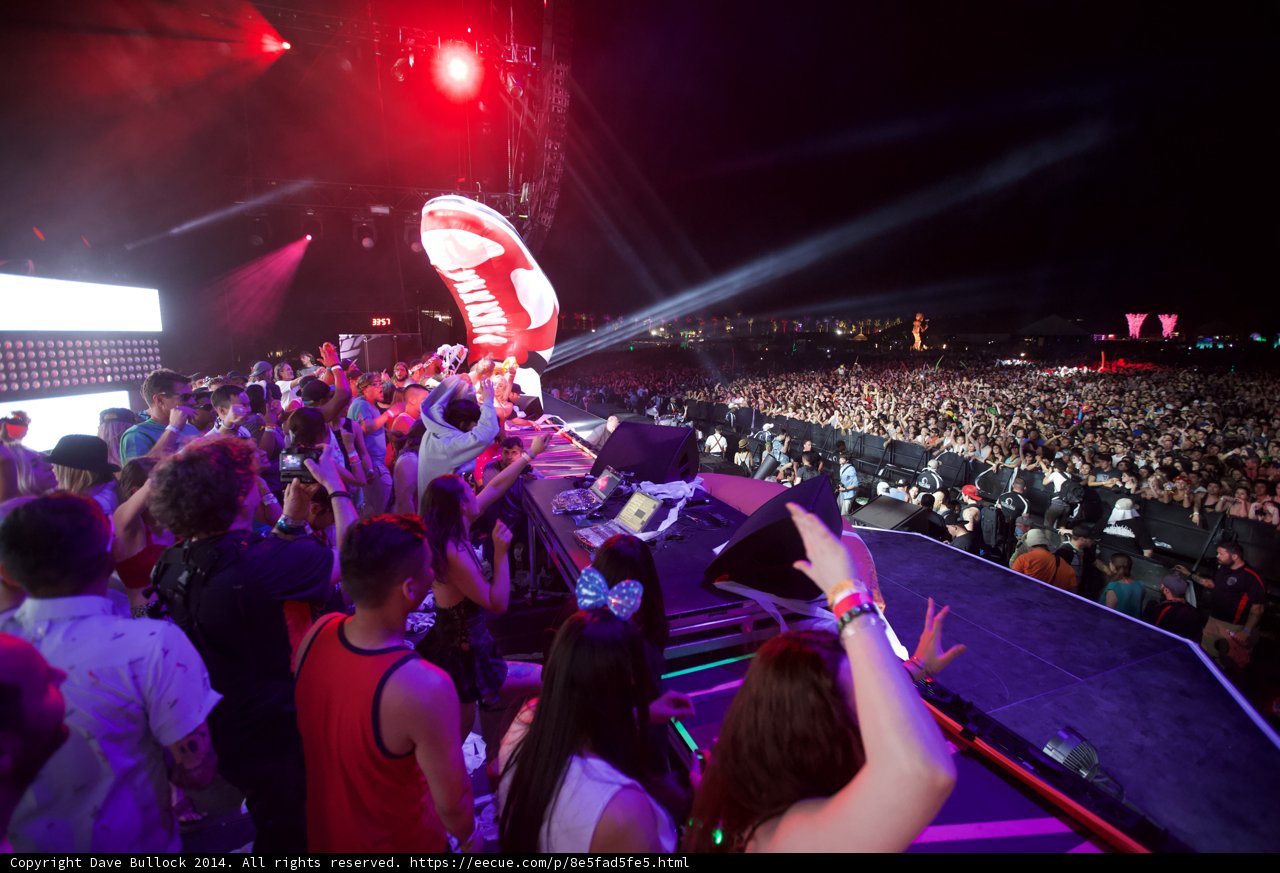 Coachella Crowd Goes Wild