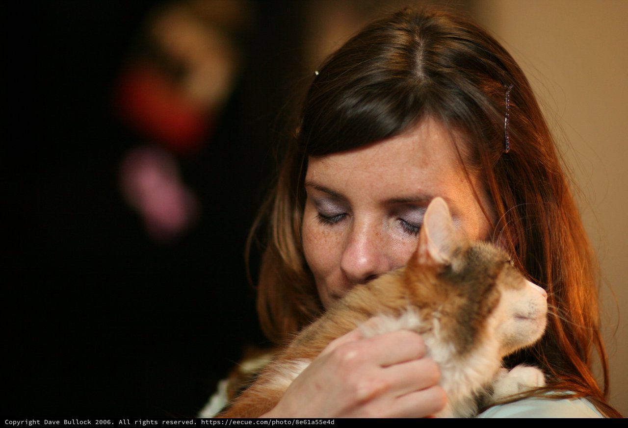 Tender Moment: Woman Nuzzles Beloved Kitten Closely