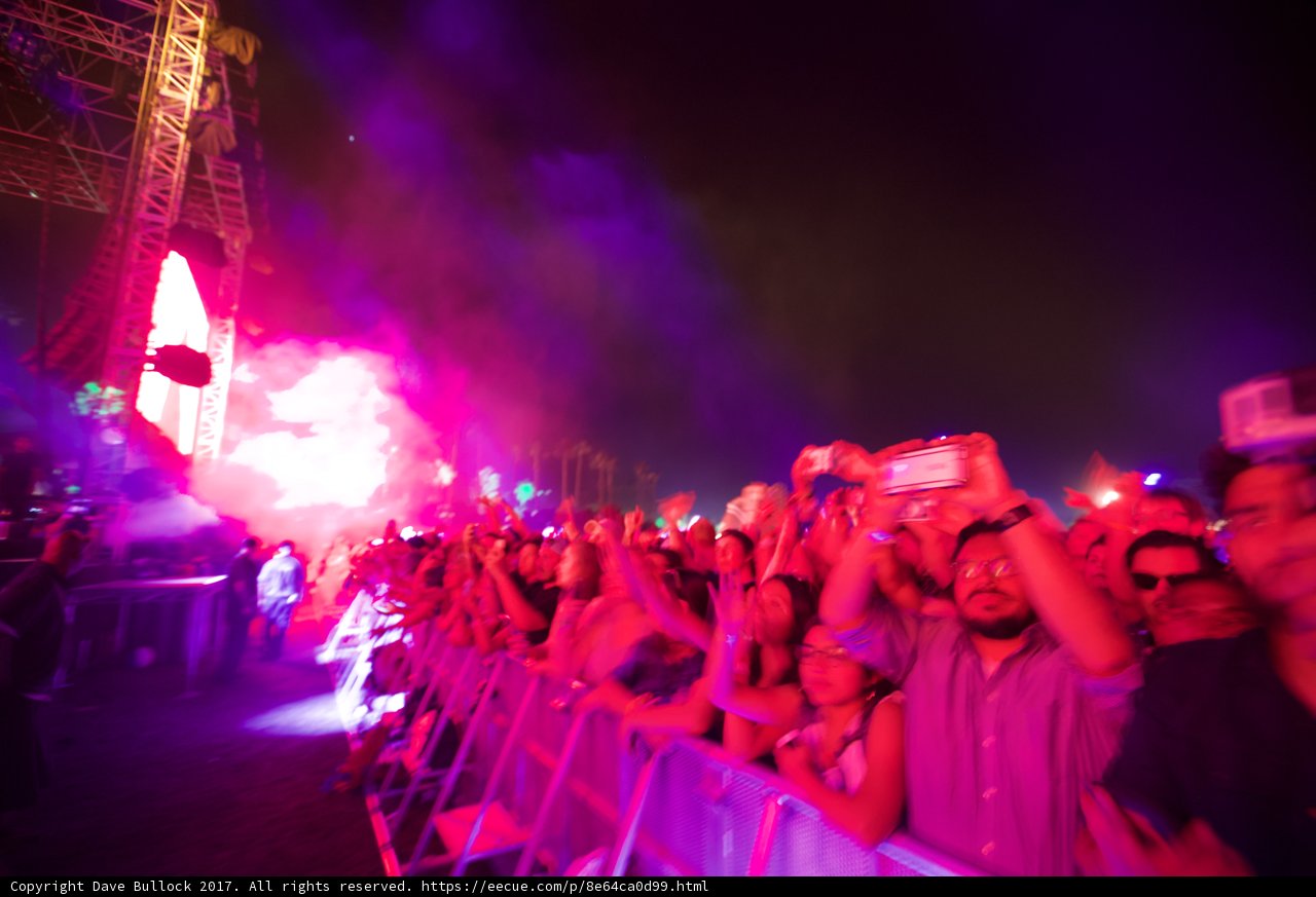 Purple Haze at Coachella