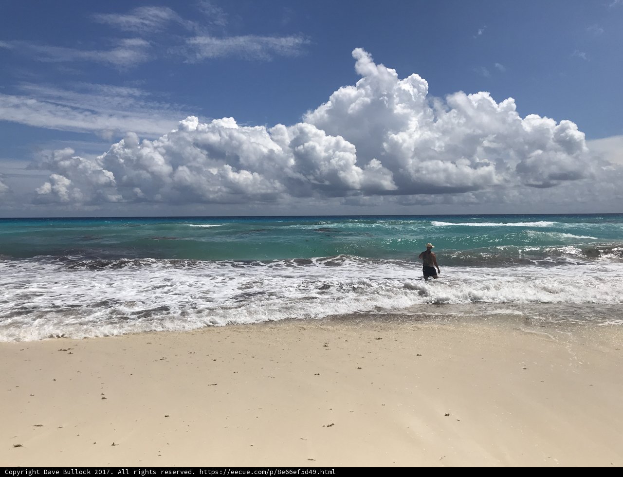 Serenity at the Shore