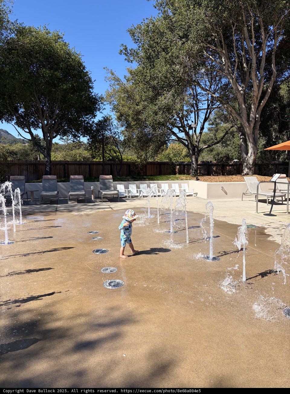 Splashing Through a Sunny Day in Carmel