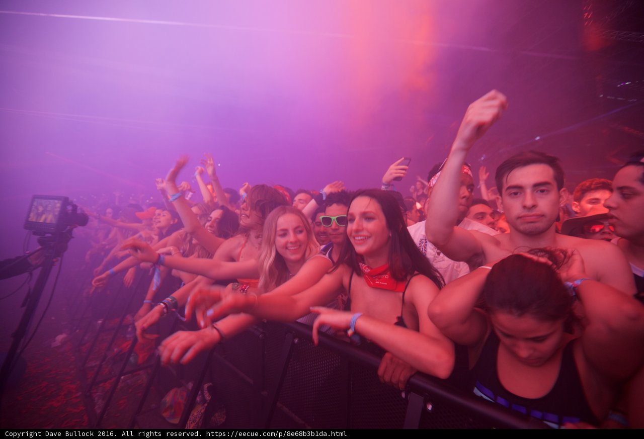 Coachella Crowd Goes Wild